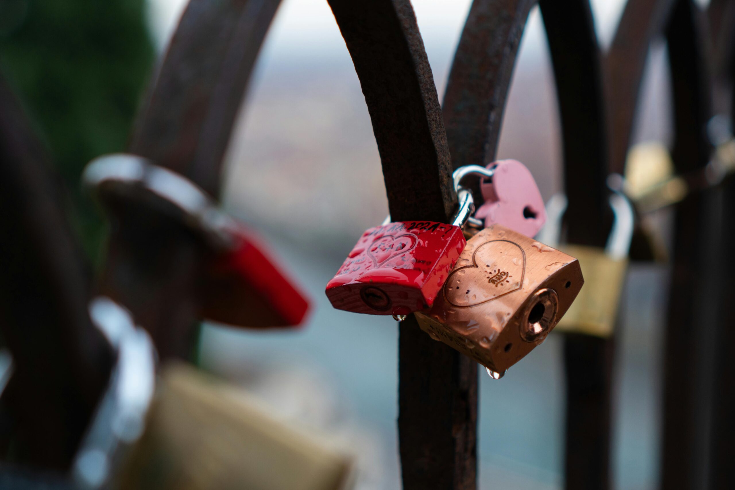 two locks together on a fence
